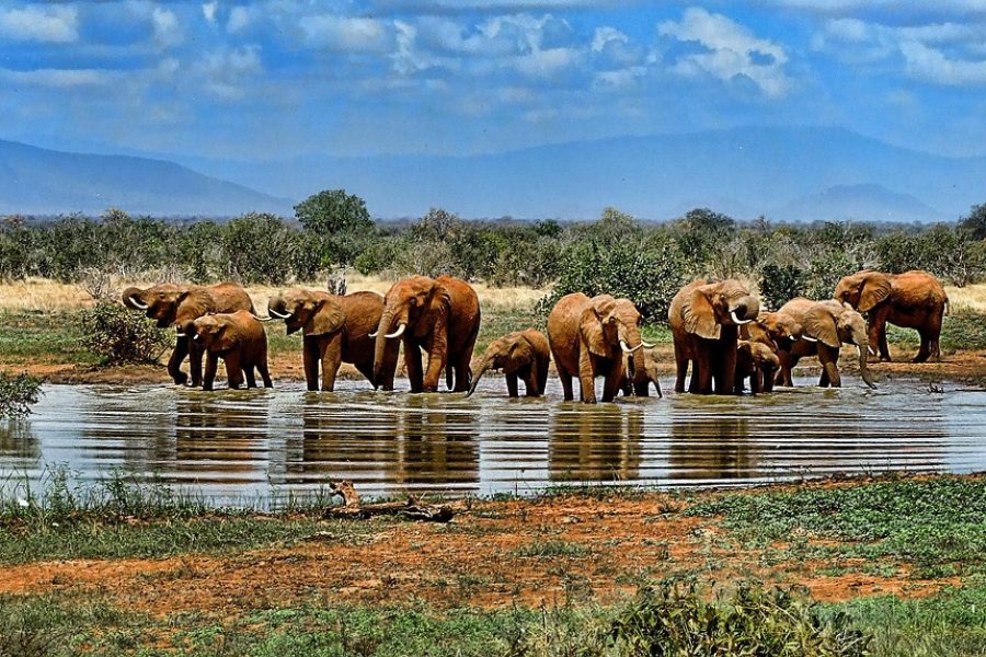 atrakcja turystyczna